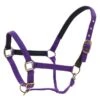 Centaur Super Comfort Halter - Purple -Saddle Shop 304397 800 800