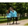 Amigo Polyester Stable Sheet - Delphinium Blue/Navy -Saddle Shop 304559 800 800