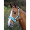 Shires Fleece Lined Lunge Cavesson - Blue -Saddle Shop 315874 800 800