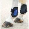 Shires ARMA Fetlock Boots - Black/Royal Blue -Saddle Shop 321202 800 800