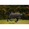 Amigo Bravo 12 Turnout W/Leg Arches 100g - Excalibur/Strong Blue/Black -Saddle Shop 328554 800 800