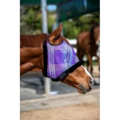 Kensington Fly Mask W/Plush Fleece Trim - Lavender Mint -Saddle Shop 334742 800 800