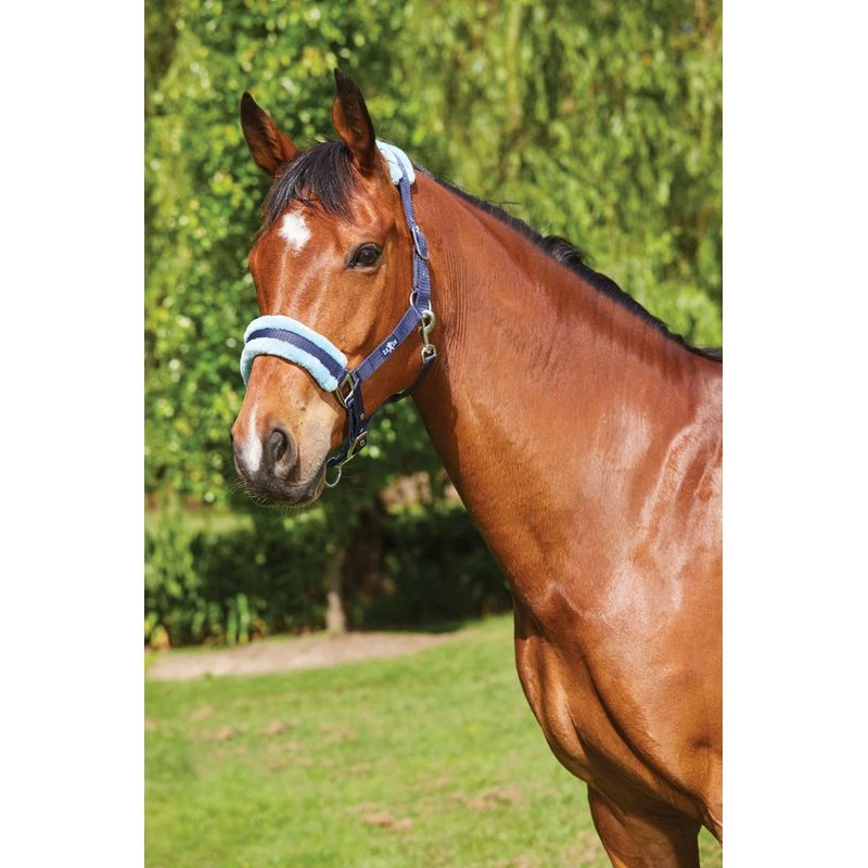 Saxon Element Fleece Headcollar - Navy/Blue 3 Saxon Element Fleece Headcollar - Navy/Blue