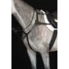 Collegiate 5-Point Breastplate IV - Black -Saddle Shop 358361 800 800