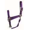 Western Rawhide Signature Classic Halter W/Snap - Purple -Saddle Shop 360429 800 800