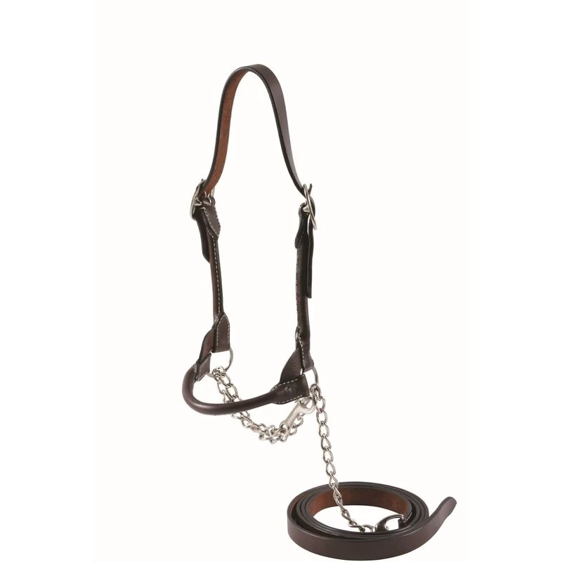 Western Rawhide Country Legend Rolled Noseband Cow Halter - Dark Oil 3 Western Rawhide Country Legend Rolled Noseband Cow Halter - Dark Oil