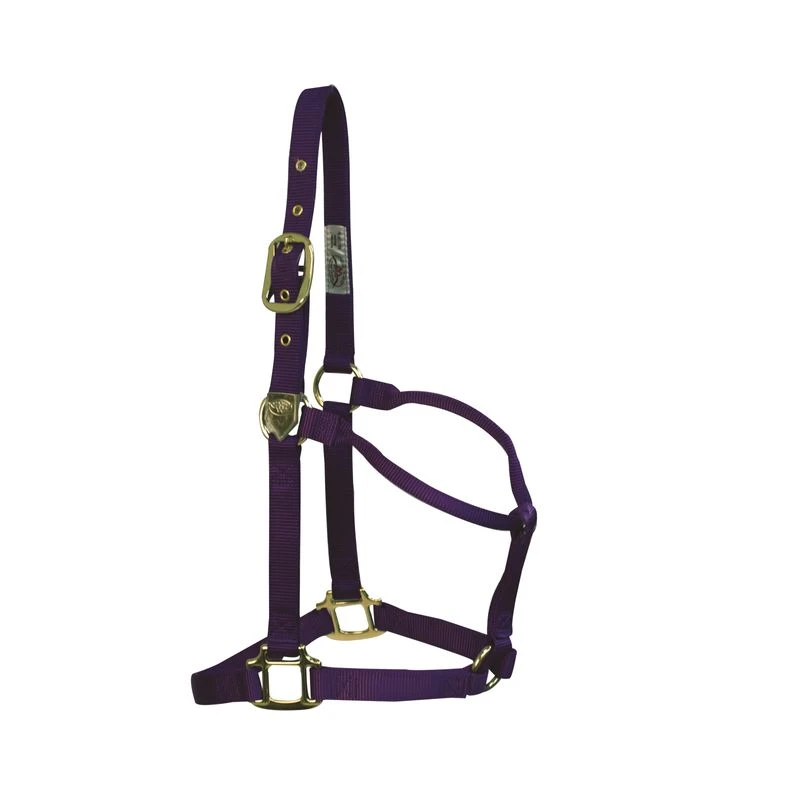 Western Rawhide Signature Classic Halter - Purple 3 Western Rawhide Signature Classic Halter - Purple
