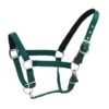 Centaur Cushion Web Breakaway Halter - Hunter Green