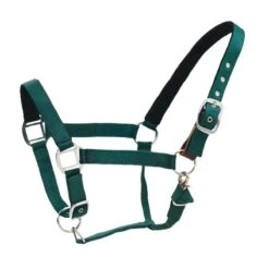 Centaur Cushion Web Breakaway Halter - Hunter Green