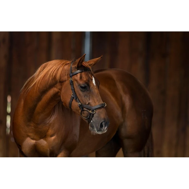 Rambo Micklem Original MultiBridle - Brown 3 Rambo Micklem Original MultiBridle - Brown