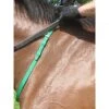 Nunn Finer Nylon Neck Grab Strap - Kelly Green -Saddle Shop 400279 800 800