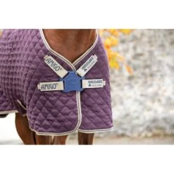 Amigo Disc Front Stable Blanket Plus Medium - Fig/Navy/Tan