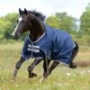 Bucas Freedom Medium Turnout - Navy -Saddle Shop 403988 800 800