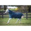 Amigo Pony Plus Turnout 50g - Black Check/Teal/Silver -Saddle Shop 407195 800 800