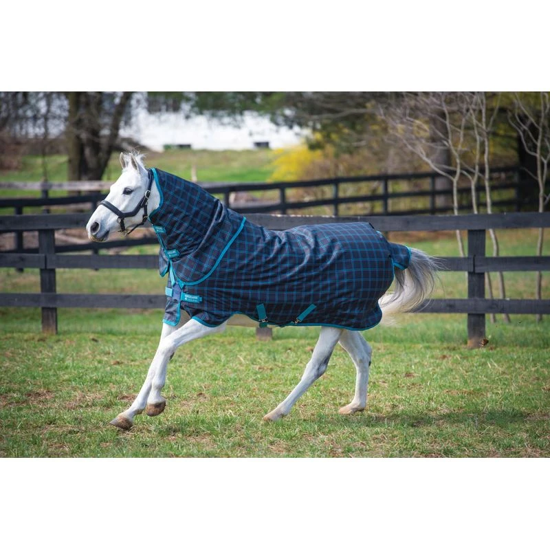 Amigo Pony Plus Turnout 50g - Black Check/Teal/Silver 3 Amigo Pony Plus Turnout 50g - Black Check/Teal/Silver