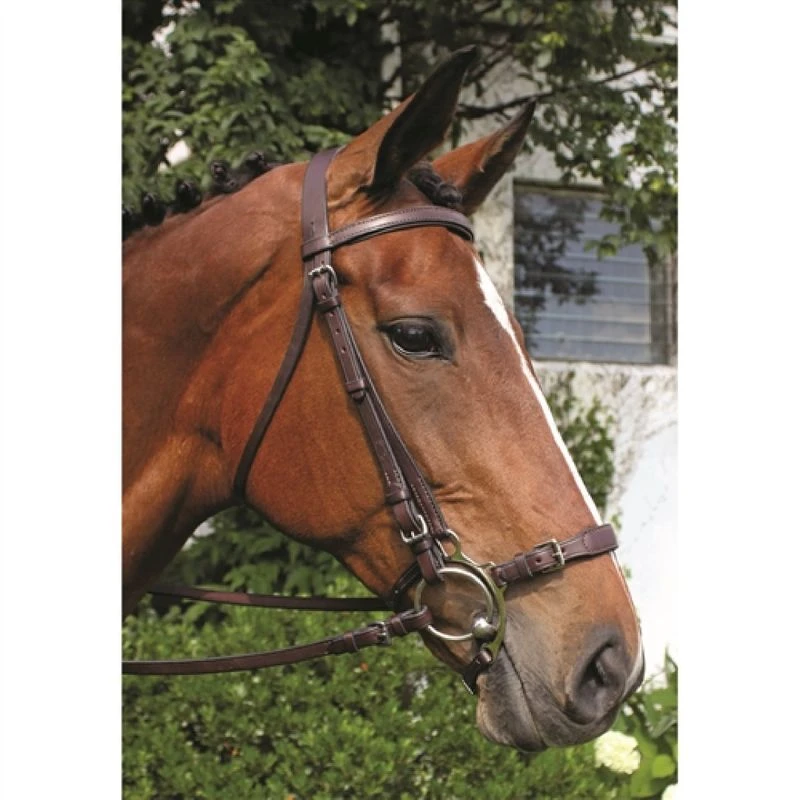 Nunn Finer Adjustable Lever Noseband - Havana/Zinc 3 Nunn Finer Adjustable Lever Noseband - Havana/Zinc