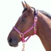 Shires Topaz Leather Breakaway Nylon Halter - Raspberry 2 Shires Topaz Leather Breakaway Nylon Halter - Raspberry -Saddle Shop 411900 800 800