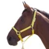 Shires Topaz Leather Breakaway Nylon Halter - Yellow 1 Shires Topaz Leather Breakaway Nylon Halter - Yellow -Saddle Shop 411947 800 800