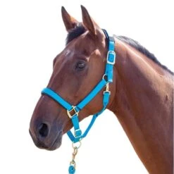 Shires Topaz Leather Breakaway Nylon Halter - Blue