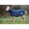 Weatherbeeta Goat Coat W/Neck - Navy 1 Weatherbeeta Goat Coat W/Neck - Navy -Saddle Shop 413367 800 800