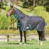 Weatherbeeta Green-Tec 900D Detach-A-Neck Medium Turnout Blanket - Black/Bottle Green -Saddle Shop 413684 800 800