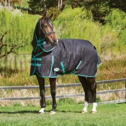 Weatherbeeta Green-Tec 900D Detach-A-Neck Medium Turnout Blanket - Black/Bottle Green -Saddle Shop 413688 800 800