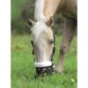 Shires Deluxe Comfort Grazing Muzzle - Black 2 Shires Deluxe Comfort Grazing Muzzle - Black -Saddle Shop 419576 800 800