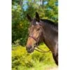 Shires Avignon Middleburg Bridle - Havana -Saddle Shop 420053 800 800