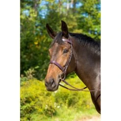 Shires Avignon Middleburg Bridle - Havana