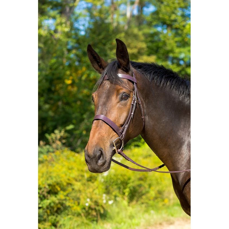 Shires Avignon Middleburg Bridle - Havana 3 Shires Avignon Middleburg Bridle - Havana