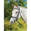 Shires Avignon Louisville Bridle - Black