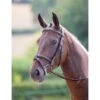 Shires Avignon Portland Bridle - Havana 2 Shires Avignon Portland Bridle - Havana -Saddle Shop 420430 800 800