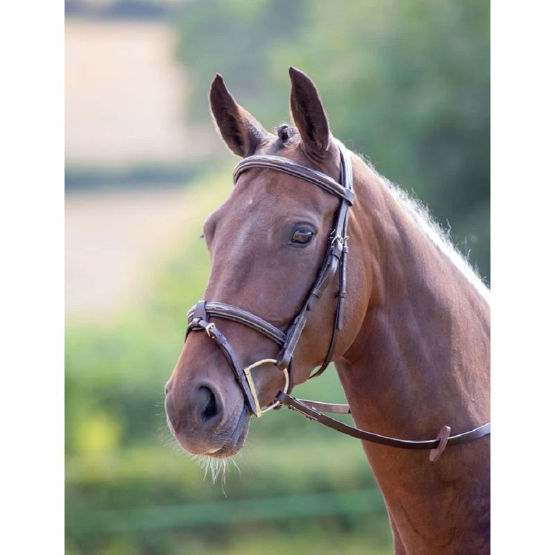 Shires Avignon Portland Bridle - Havana 3 Shires Avignon Portland Bridle - Havana