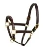 Aramas Fancy Raised Z Shaped Padded Halter - Chocolate -Saddle Shop 422112 800 800