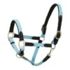 Harmohn Kraft Padded Web/Leather Halter W/Snap - Light Blue/Black -Saddle Shop 423042 800 800