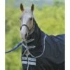 Amigo Stock Horse Hood 0g - Black/Silver -Saddle Shop 423241 800 800