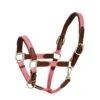 Harmohn Kraft Padded Web/Leather Halter W/Snap - Pink/Chocolate 2 Harmohn Kraft Padded Web/Leather Halter W/Snap - Pink/Chocolate -Saddle Shop 423375 800 800