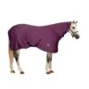 Centaur Pony Turbo-Dry Cooler W/Neck - Orchid -Saddle Shop 428684 800 800