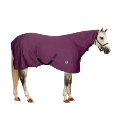 Centaur Pony Turbo-Dry Cooler W/Neck - Orchid