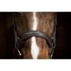 Ovation ATS Fancy Raised Wide Noseband Bridle - Dark Brown 1 Ovation ATS Fancy Raised Wide Noseband Bridle - Dark Brown -Saddle Shop 433865 800 800