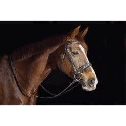 Ovation ATS Fancy Raised Wide Noseband Bridle - Dark Brown -Saddle Shop 433867 800 800