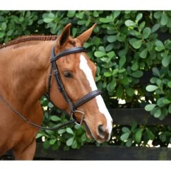 Ovation ATS Fancy Sitich Square Raised Taper Nose Bridle - Dark Brown -Saddle Shop 435979 800 800