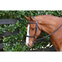 Ovation ATS Fancy Sitich Square Raised Taper Nose Bridle - Dark Brown -Saddle Shop 435980 800 800