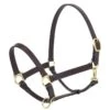 Camelot Stable Halter - Brown -Saddle Shop 435986 800 800