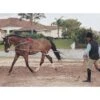 Pessoa Lunging System - Natural 1 Pessoa Lunging System - Natural -Saddle Shop 437696 800 800