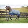 Saxon 600D With Gusset Standard Neck Medium II Turnout - Grey/Navy -Saddle Shop 441155 800 800