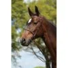 Kincade Raised Fancy Stitched Bridle - Brown 2 Kincade Raised Fancy Stitched Bridle - Brown -Saddle Shop 442510 800 800