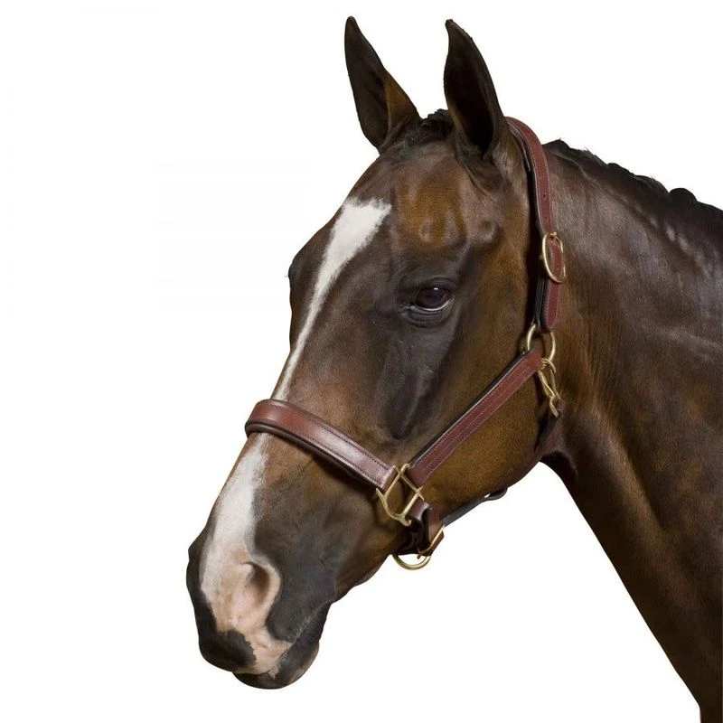 Collegiate Deluxe Padded Breakaway Halter - Brown 3 Collegiate Deluxe Padded Breakaway Halter - Brown