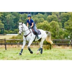 Weatherbeeta Cross Country Boots Hind - Black -Saddle Shop 442793 800 800