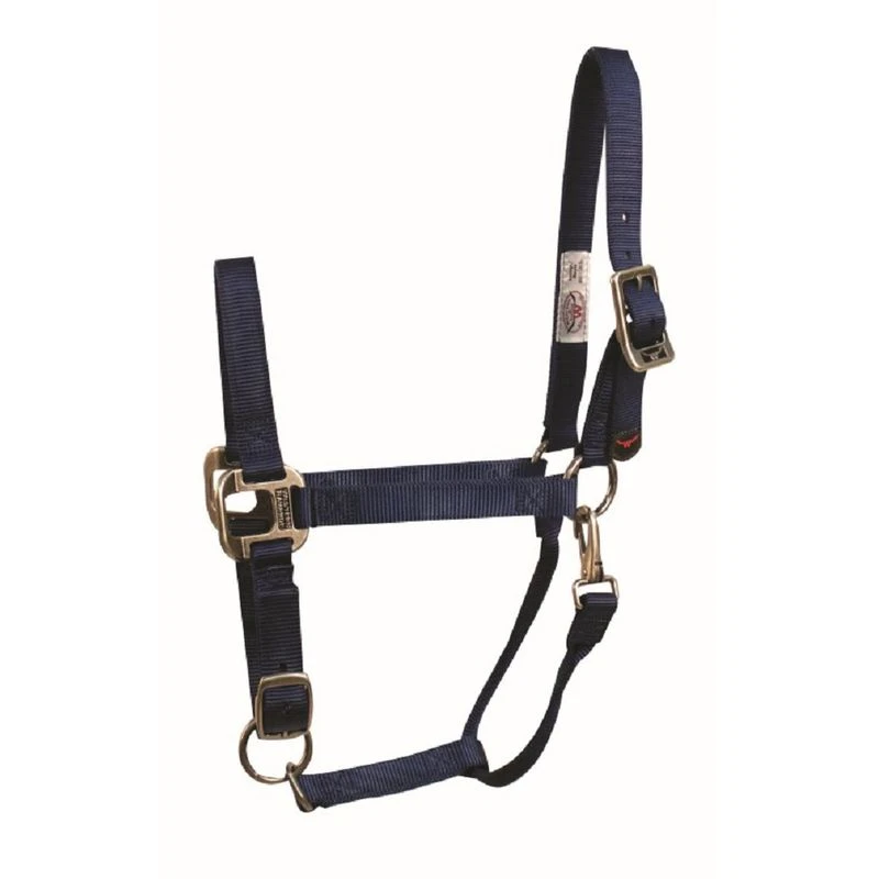 Western Rawhide Signature Halter W/Antique Silver Hardware W/Snap - Navy 3 Western Rawhide Signature Halter W/Antique Silver Hardware W/Snap - Navy